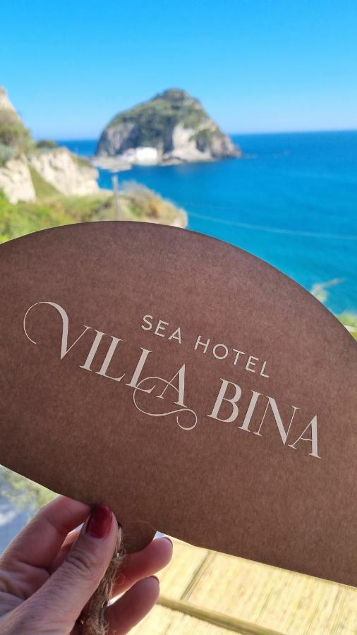 Villa Bina Sea Hotel Sant'Angelo  Exterior photo
